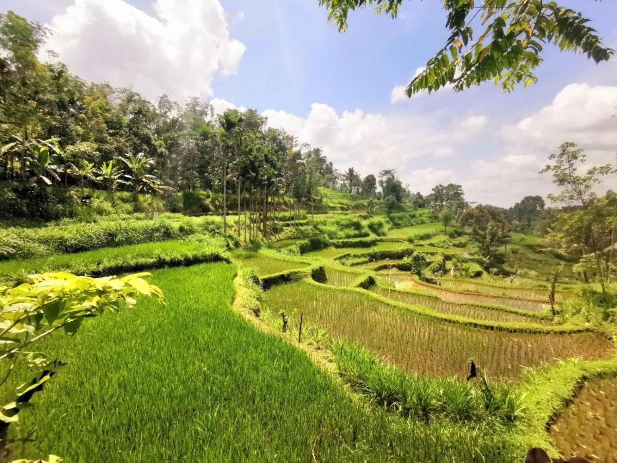 Tetebatu Sama Sama Bungalows Buitenkant foto