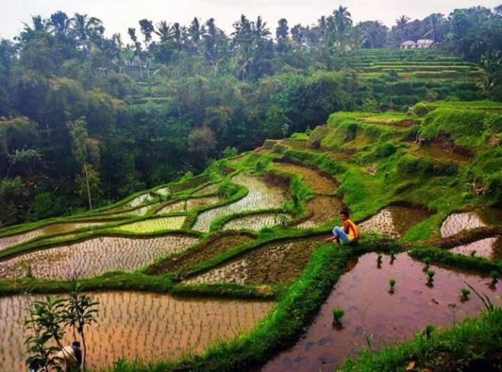Tetebatu Sama Sama Bungalows Buitenkant foto